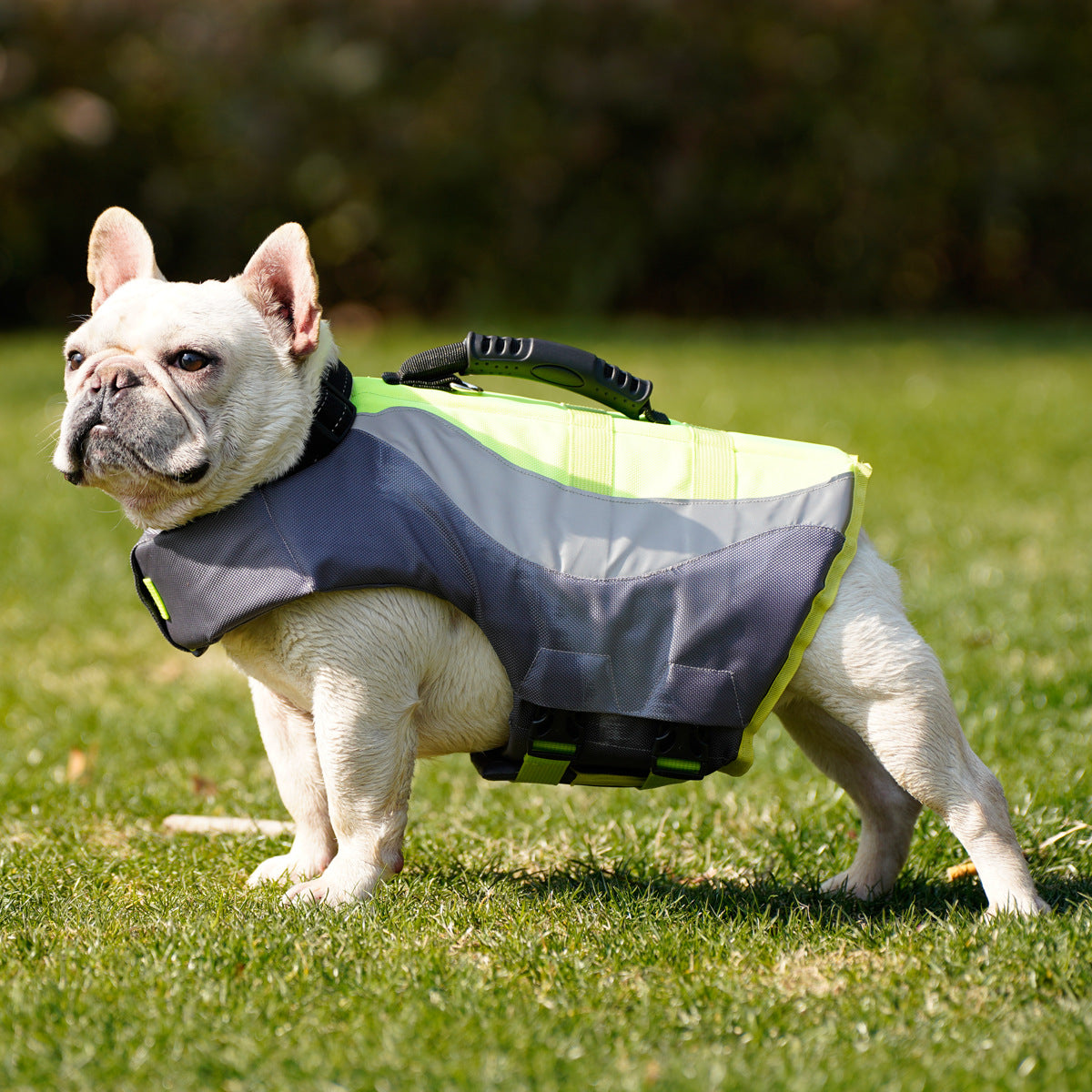 Reflective Pet Life Jacket Swim Safety Vest
