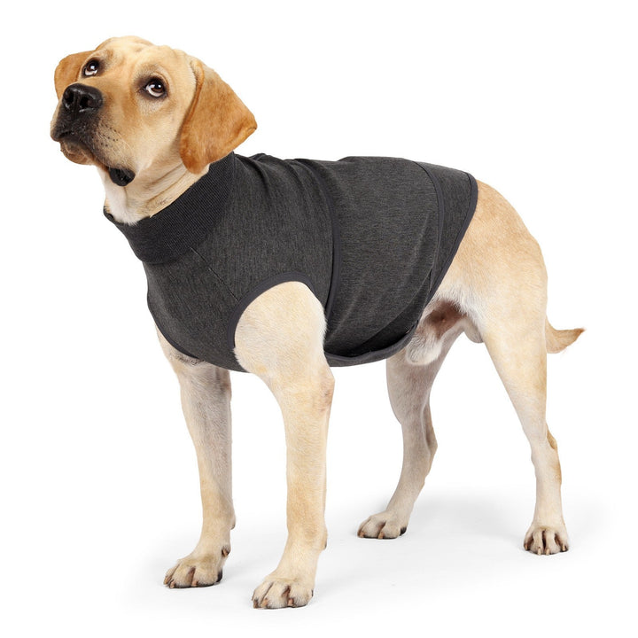 Elevate Your Pet's Comfort with Our Double Jacket