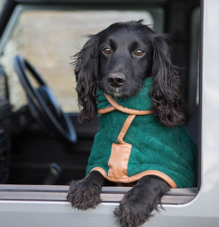 Experience the Ultimate Convenience with Our Pet Quick-Drying Towel