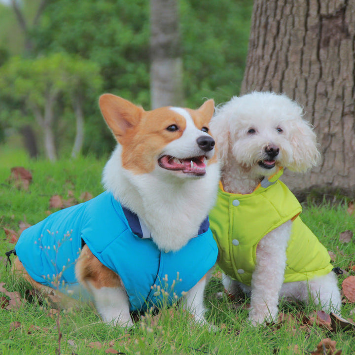 Thickened Waterproof Outdoor Pet Jacket: The Ultimate Protection for Your Furry Friend