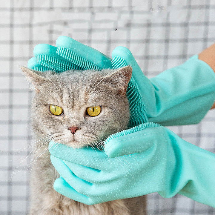 Transform Your Pet Grooming Experience