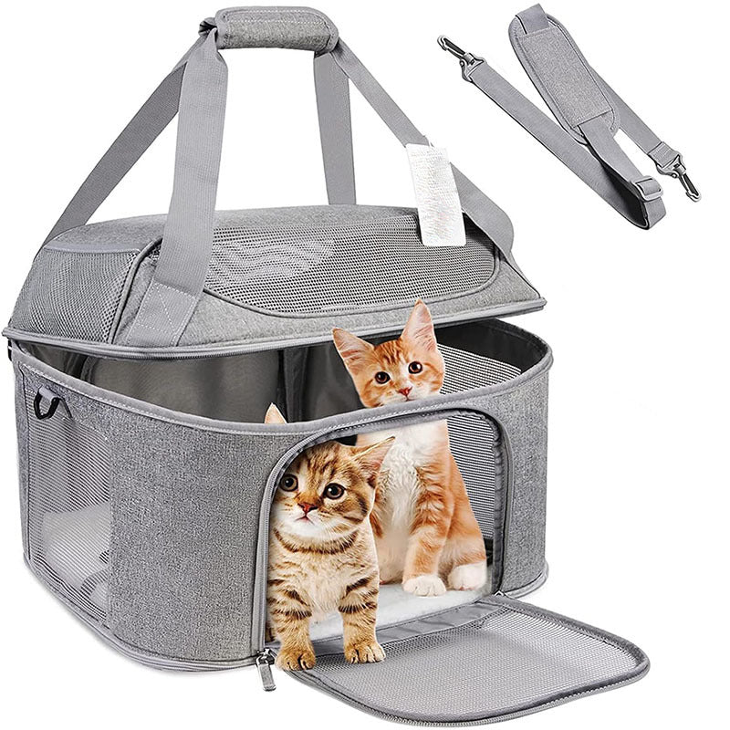 Discover the Ultimate Travel Companion for Your Pets