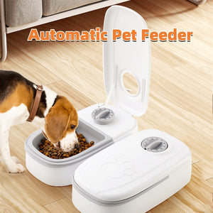 Enhance Your Pet's Feeding Experience with Our Automatic Smart Pet Food Dispenser