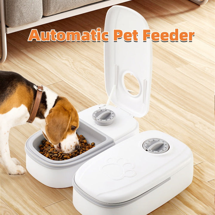 Enhance Your Pet's Feeding Experience with Our Automatic Smart Pet Food Dispenser