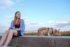 How to Choose the Right Leash and Harness