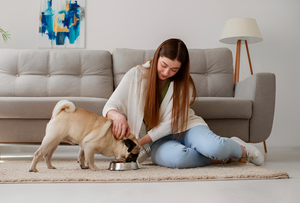 Feeding Essentials Every Pet Owner Needs