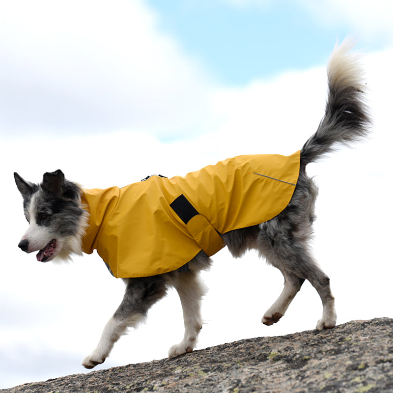 Keep Your Pet Dry and Stylish with Our Waterproof Shell Jacket