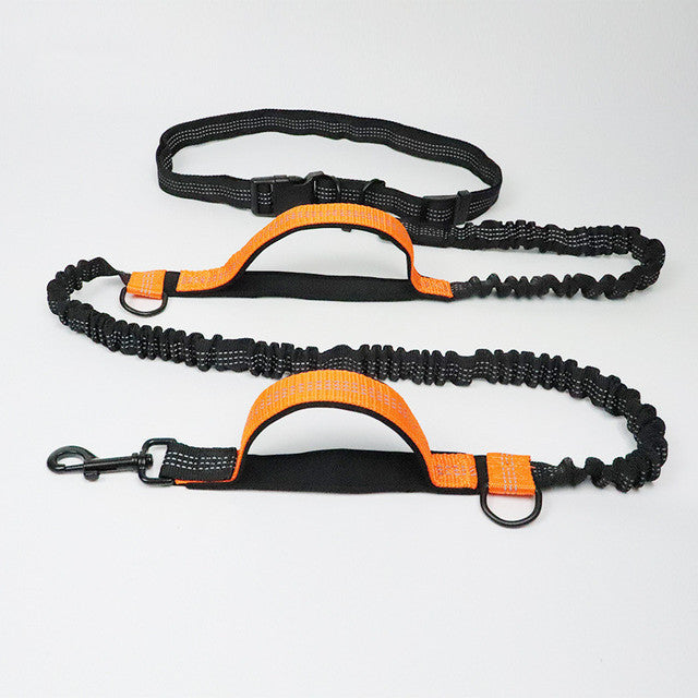 Adjustable Pet Harness Collar With Jogging Leash