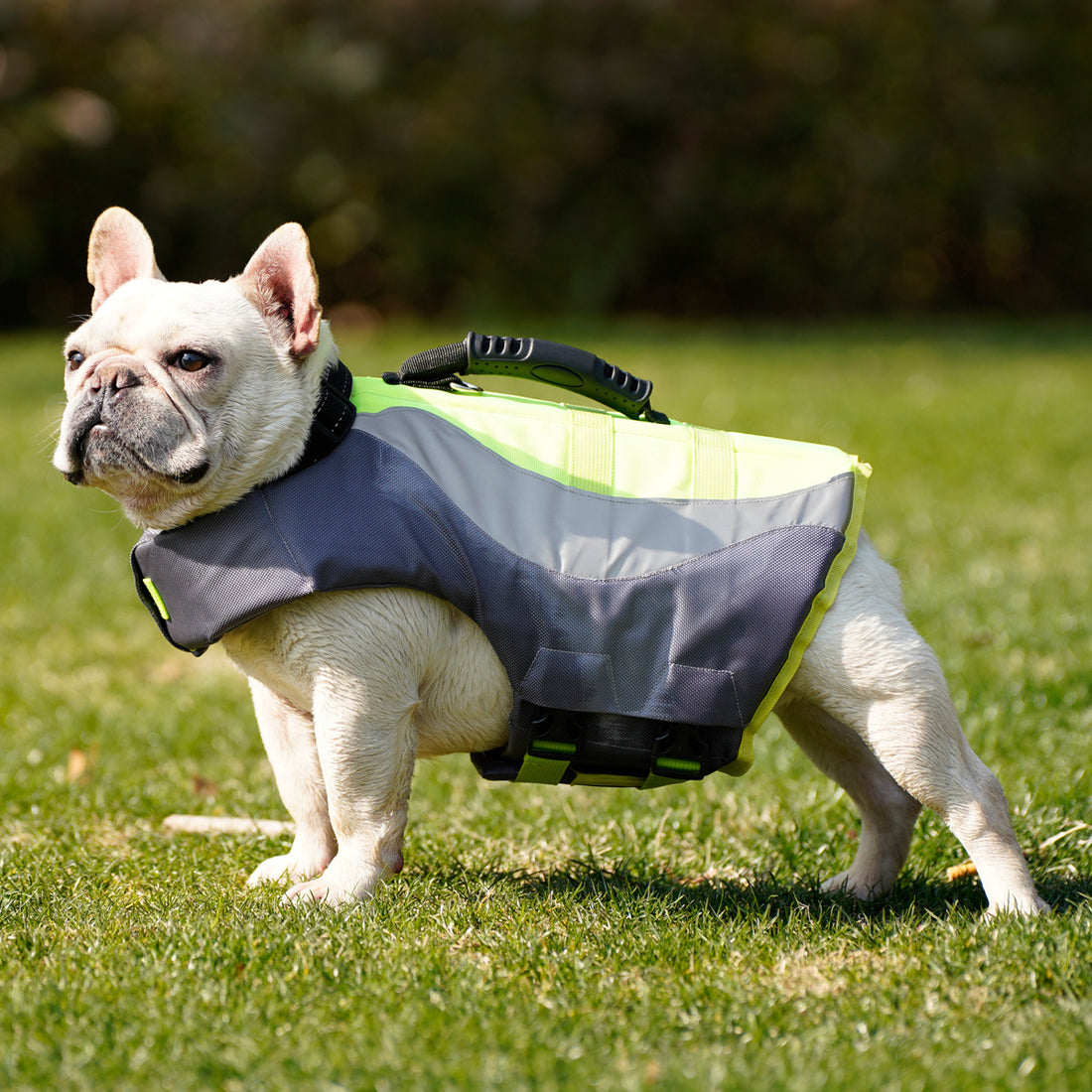 Reflective Pet Life Jacket Swim Safety Vest