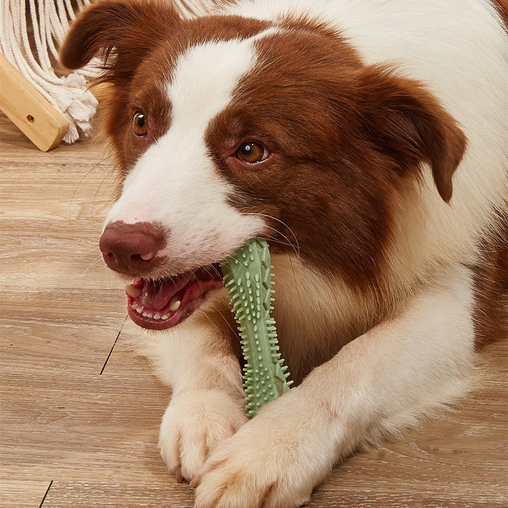 Chew-Resistant Teeth Cleaning Pet Toy