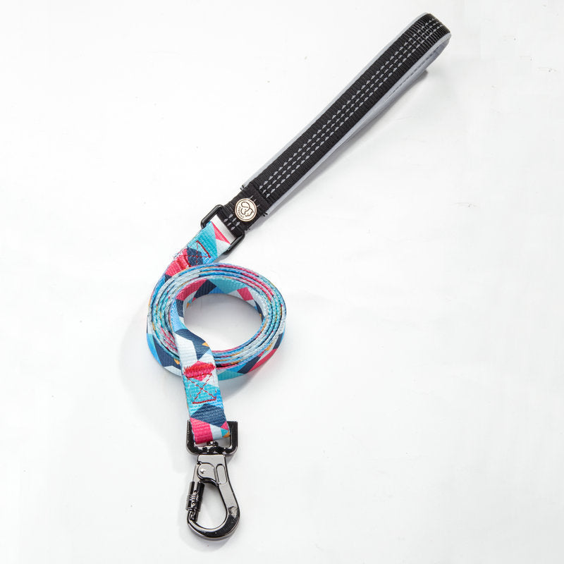 Pet Grooming And Leash Supplies
