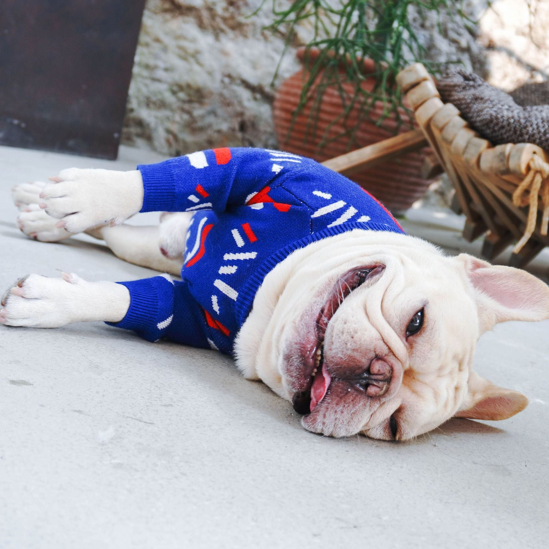 Cozy Knit Pet Sweater Warm Comfortable Apparel