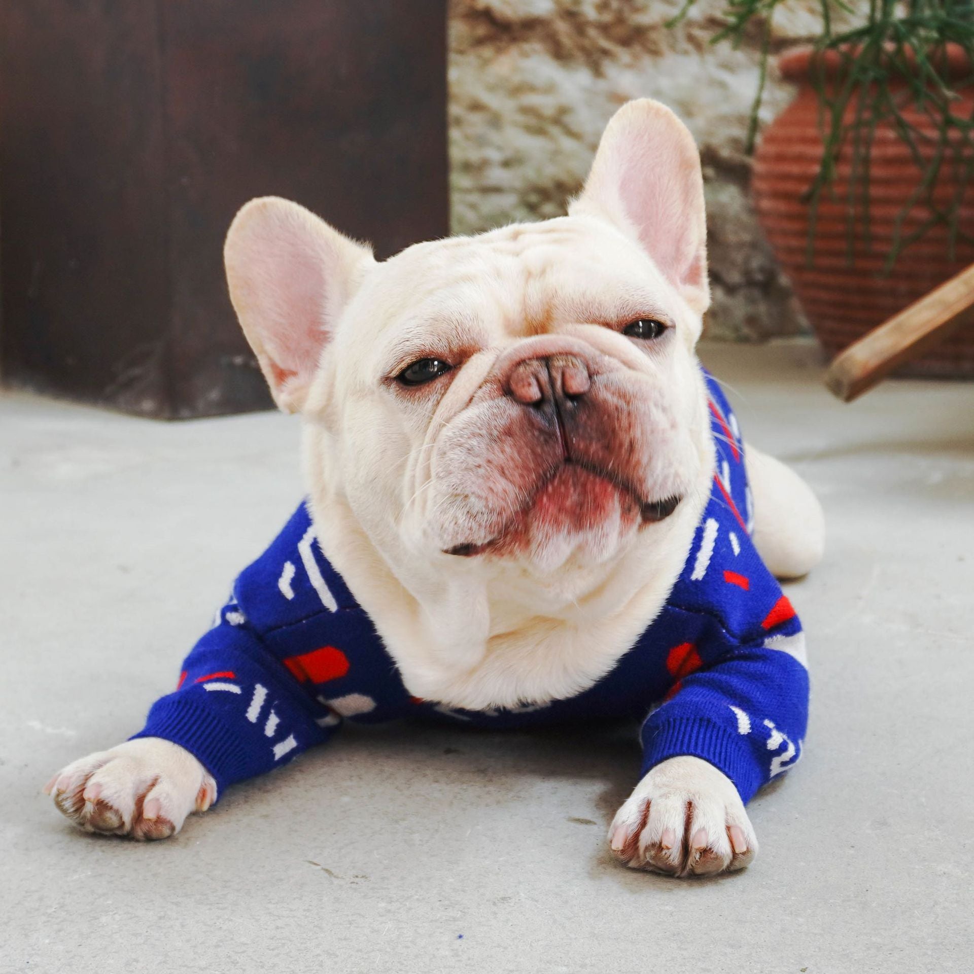 Cozy Knit Pet Sweater Warm Comfortable Apparel