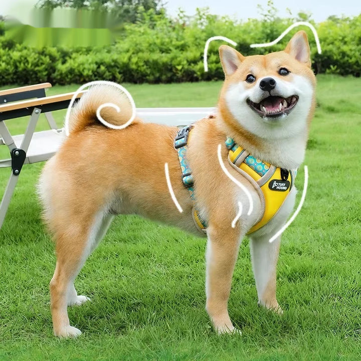 Vest-Style Pet Harness Adjustable Walking Leash Small to Large