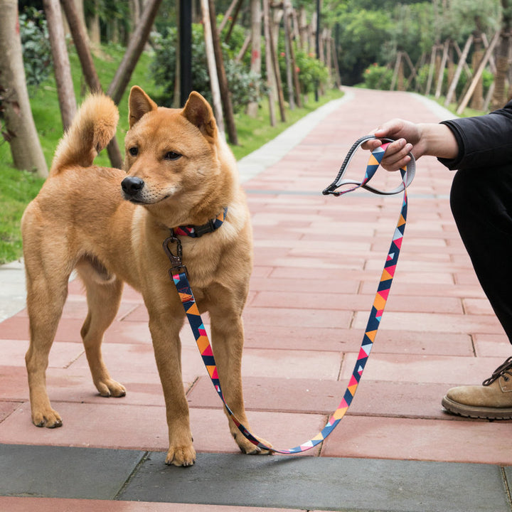 Pet Grooming And Leash Supplies