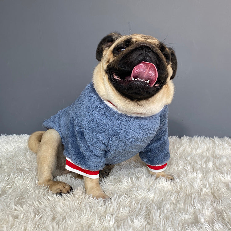 Warm Cozy Pet Sweater Soft Comfortable Apparel