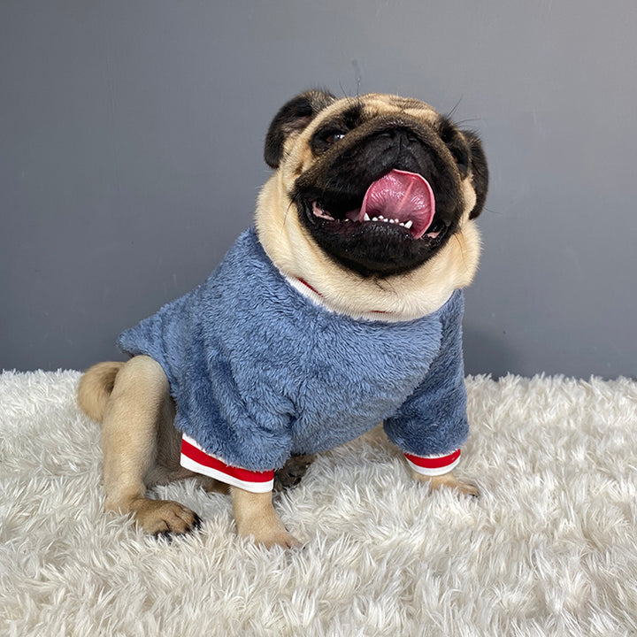 Warm Cozy Pet Sweater Soft Comfortable Apparel