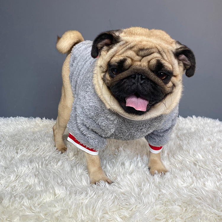 Warm Cozy Pet Sweater Soft Comfortable Apparel