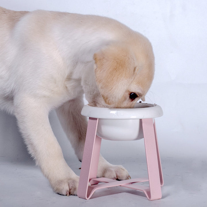 Creative Non-Slip 2-in-1 Pet Food And Water Feeder