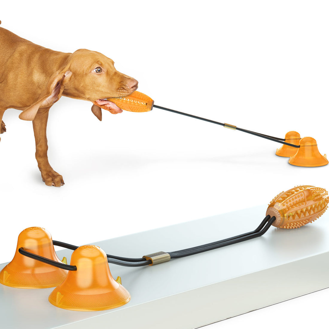 Multifunction Double Tug Rope Bite-Resistant Pet Toy