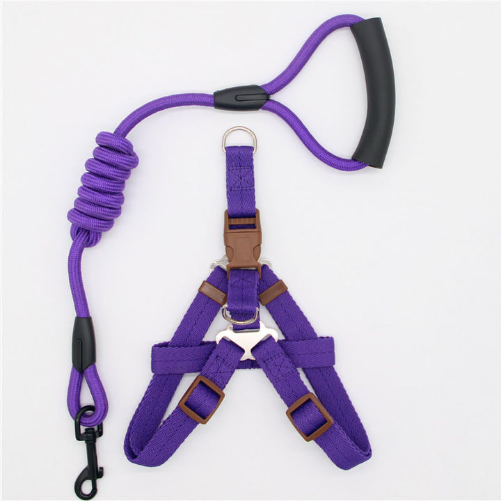 Simple Durable Pet Leash For Everyday Walking Use