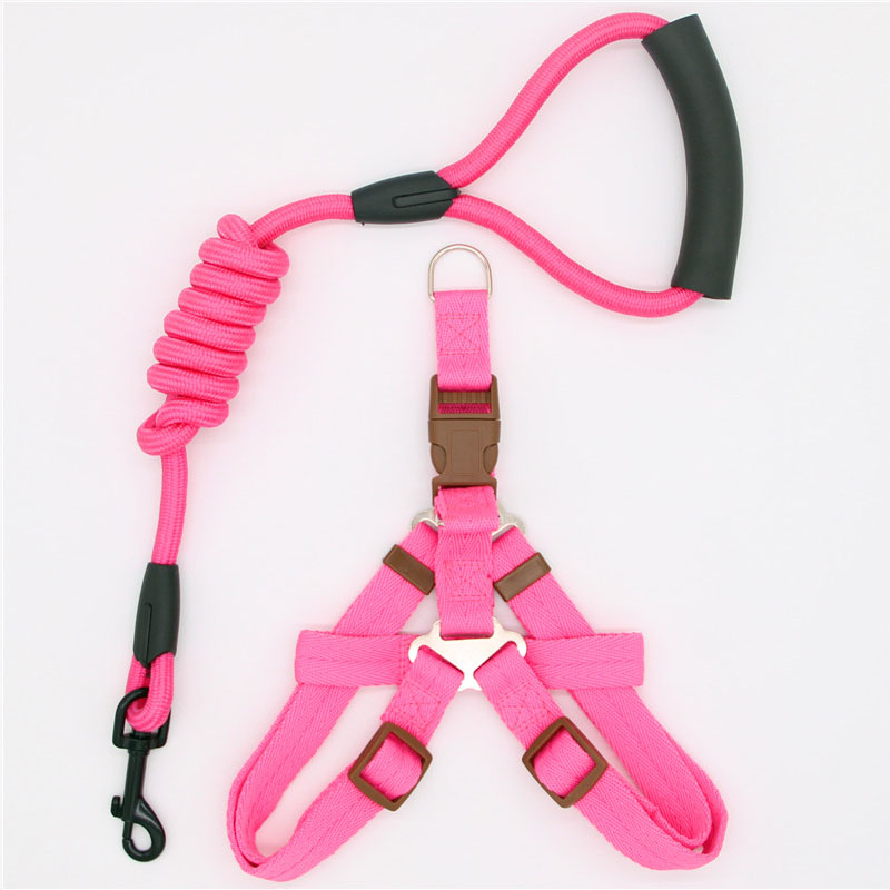 Simple Durable Pet Leash For Everyday Walking Use