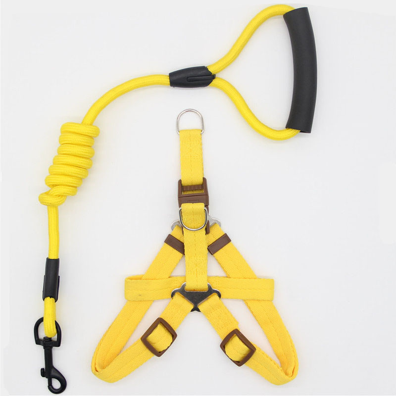 Simple Durable Pet Leash For Everyday Walking Use