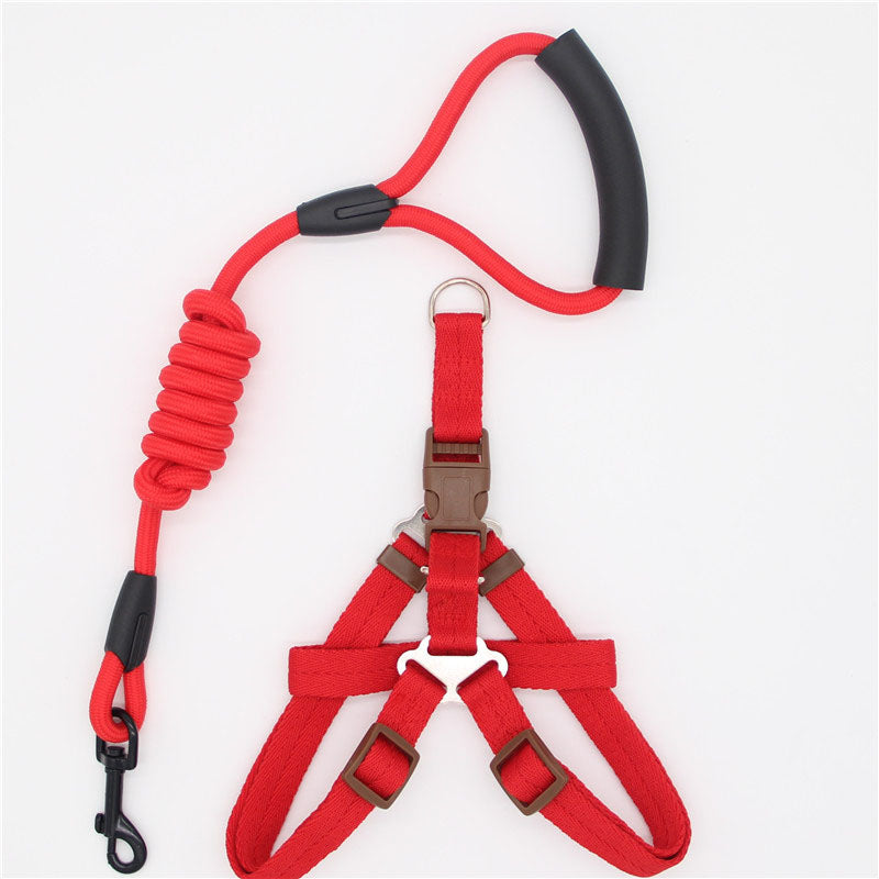 Simple Durable Pet Leash For Everyday Walking Use