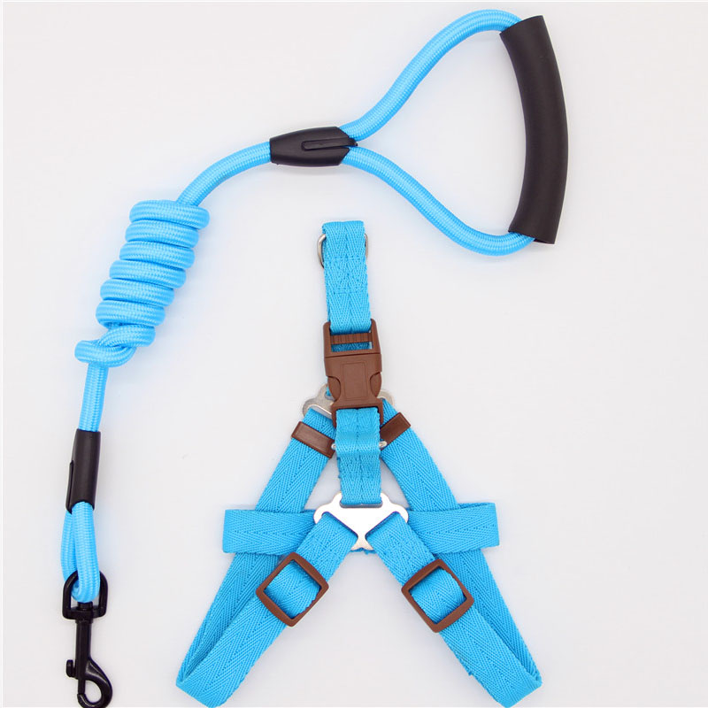Simple Durable Pet Leash For Everyday Walking Use