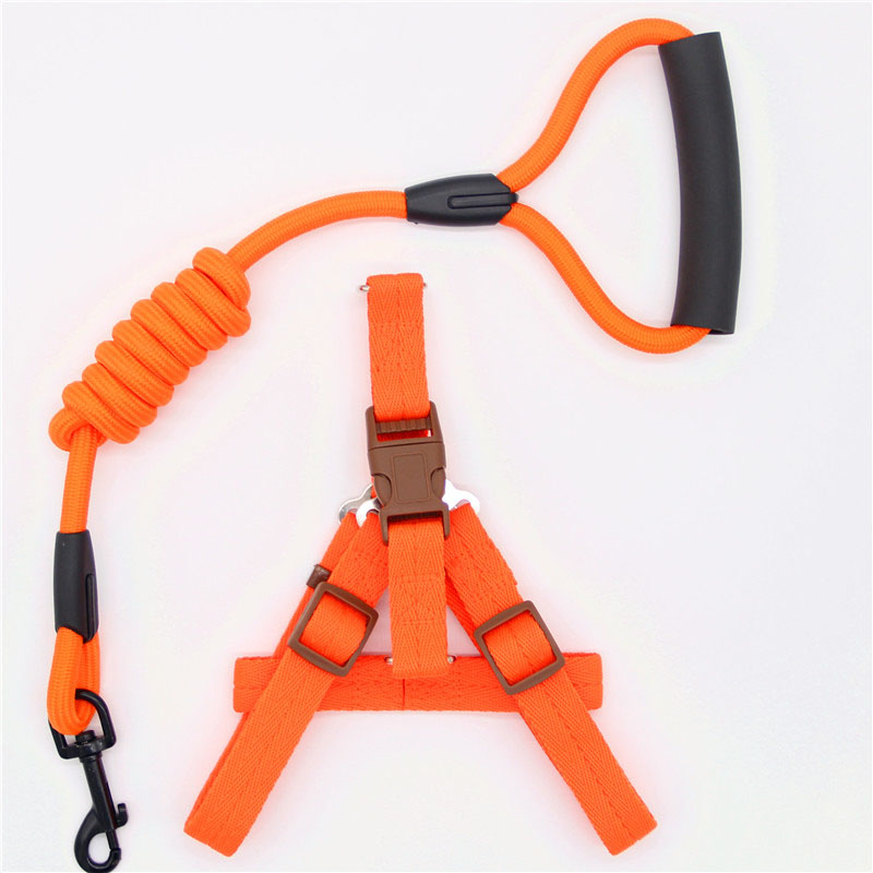 Simple Durable Pet Leash For Everyday Walking Use
