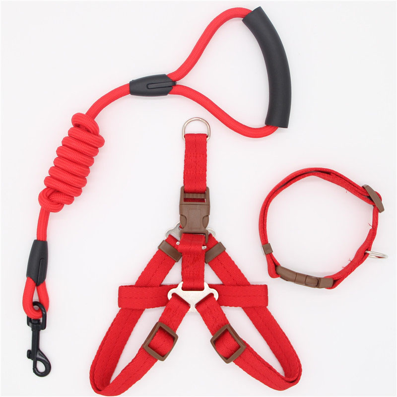 Simple Durable Pet Leash For Everyday Walking Use