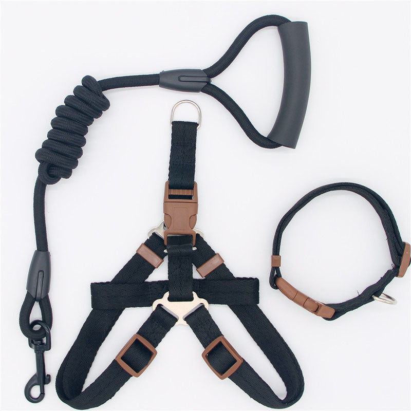 Simple Durable Pet Leash For Everyday Walking Use