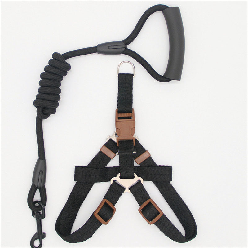Simple Durable Pet Leash For Everyday Walking Use