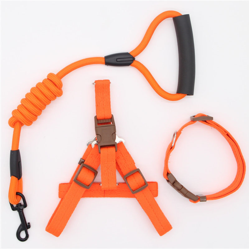 Simple Durable Pet Leash For Everyday Walking Use