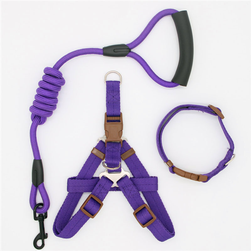 Simple Durable Pet Leash For Everyday Walking Use