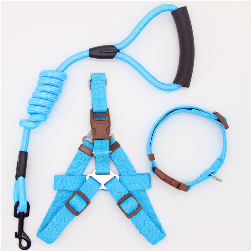 Simple Durable Pet Leash For Everyday Walking Use