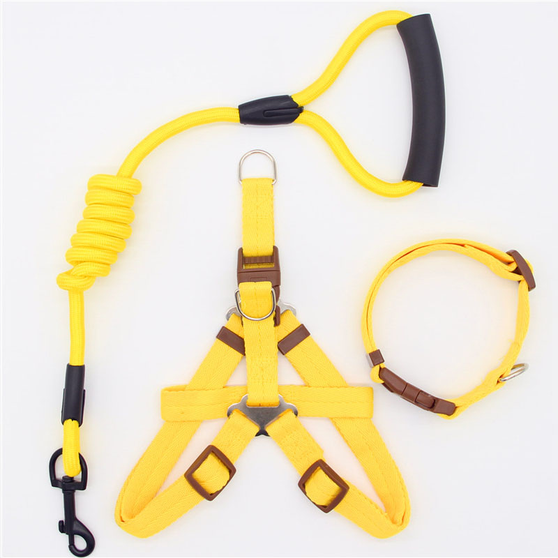 Simple Durable Pet Leash For Everyday Walking Use