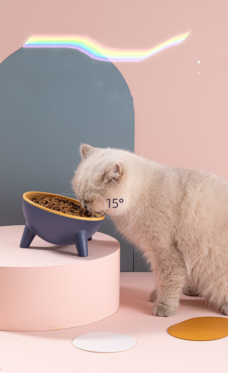 Elevated Pet Feeding Bowl With Stand Nordic Style