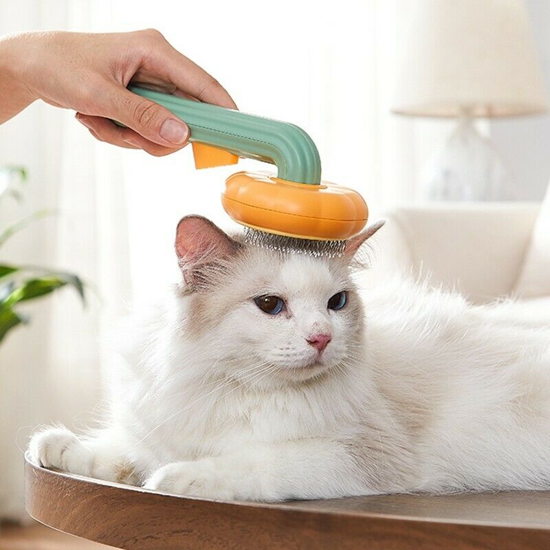 Self-Cleaning Pumpkin Pet Grooming Slicker Brush