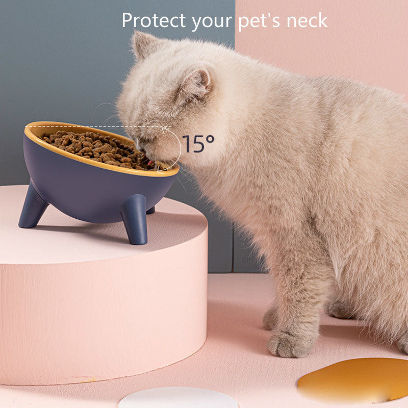 Elevated Pet Feeding Bowl With Stand Nordic Style