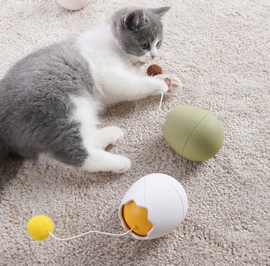 Funny Interactive Cat Toy For Pets