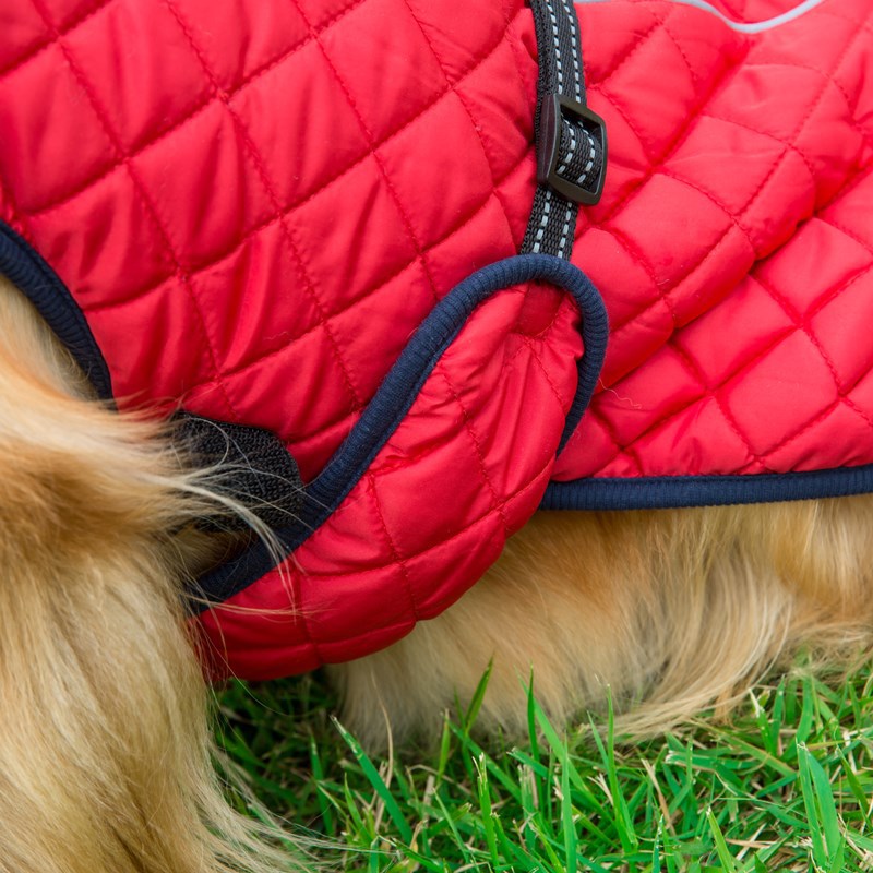 Adjustable Warm Pet Cotton Jacket Comfortable Winter Wear