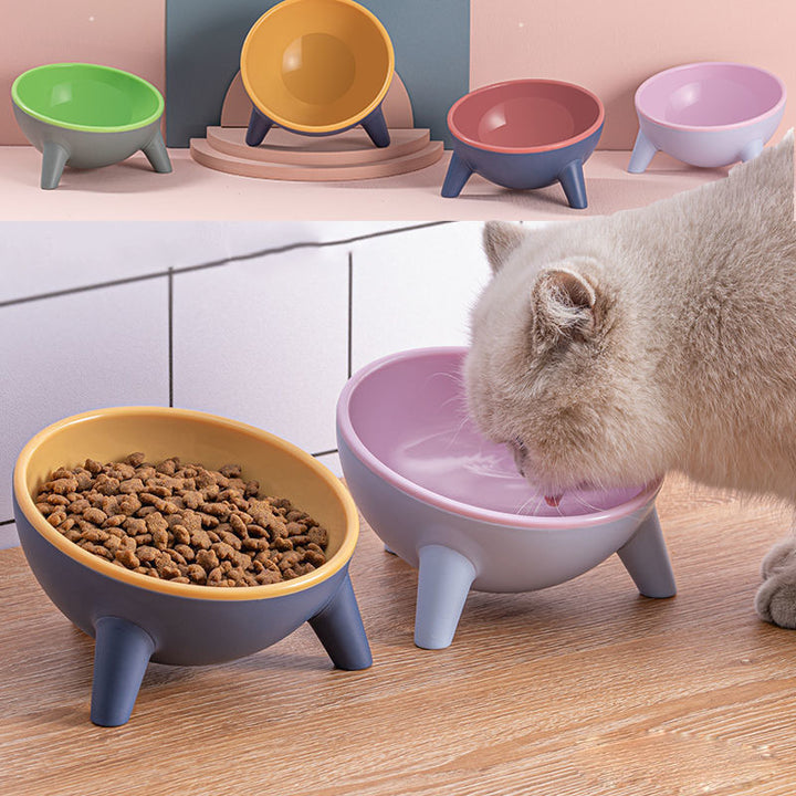 Elevated Pet Feeding Bowl With Stand Nordic Style