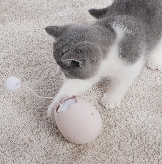 Funny Interactive Cat Toy For Pets