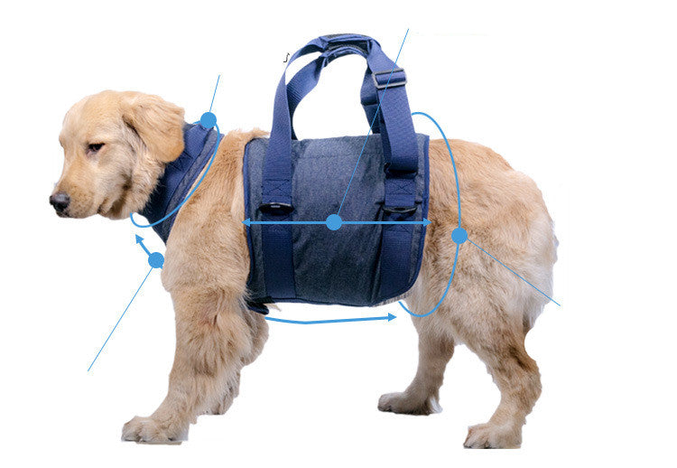 Durable Pet Leash
