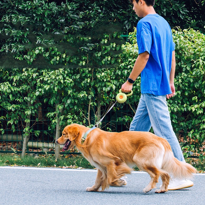 Retractable Pet Leash With Reflective Durable Rope Design