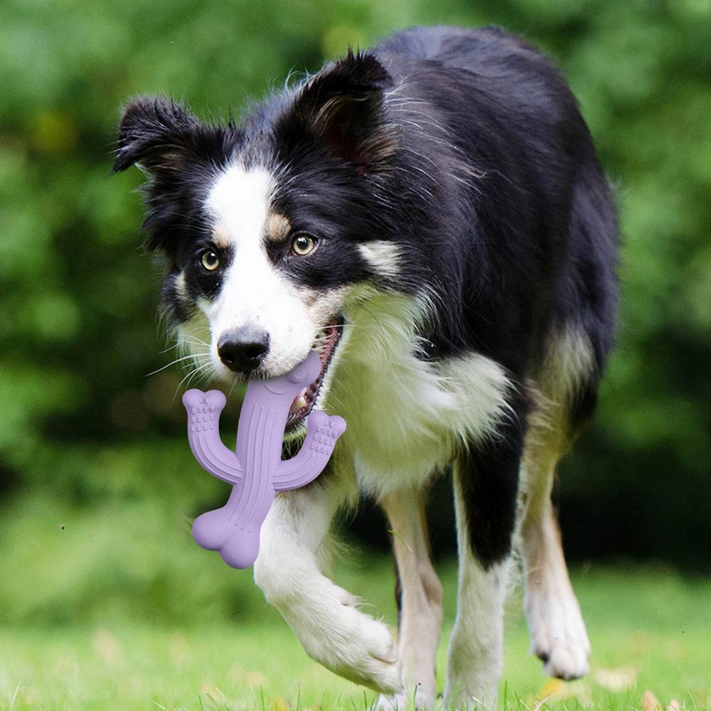 Cactus-Shaped Ultra-Durable Interactive Pet Chew Toy