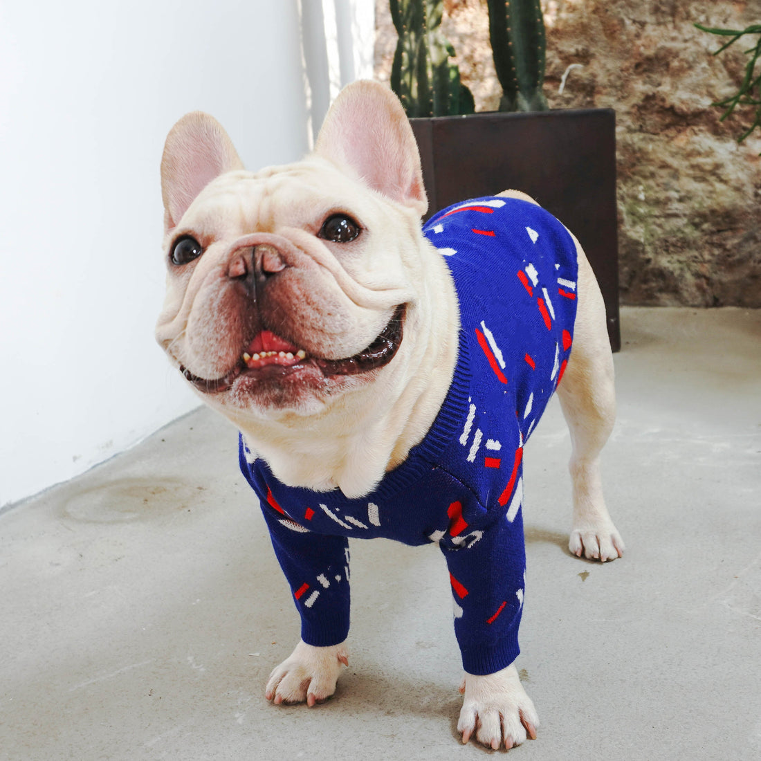 Cozy Knit Pet Sweater Warm Comfortable Apparel