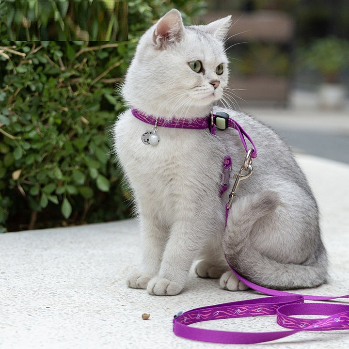 Pet Chest Strap Harness Vest Adjustable Leash for Small Pets