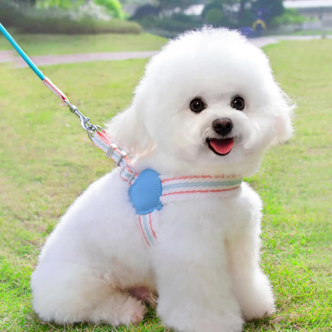 Pet Breathable Summer Chest Vest Leash Walking Harness